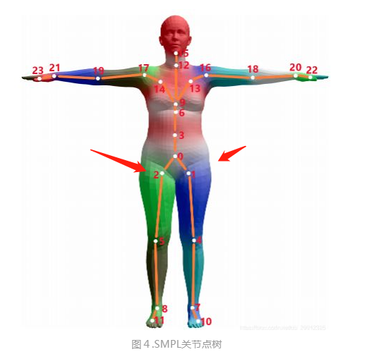 There is a big gap between the joint points obtained by openpose and ...