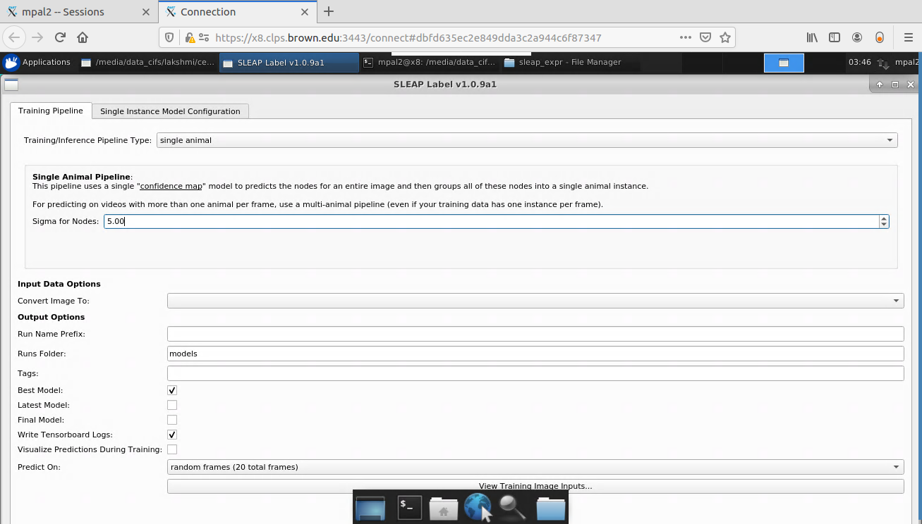 Problem with GUI · Issue #393 · talmolab/sleap · GitHub