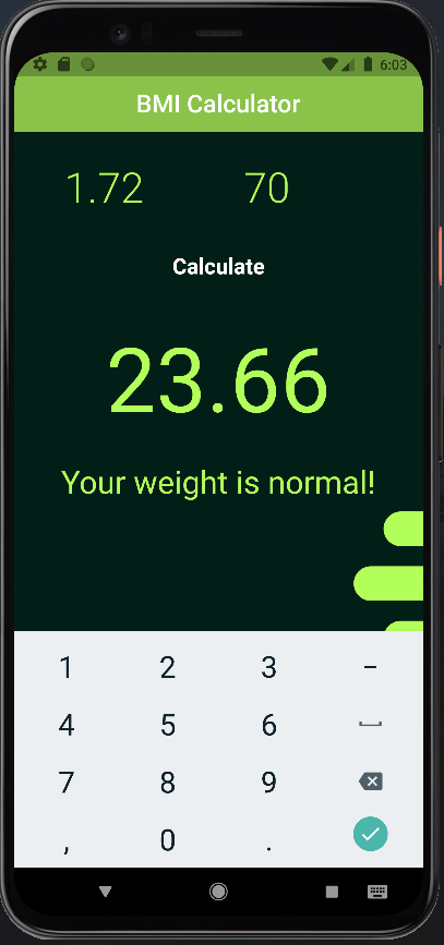 BMI Calculator