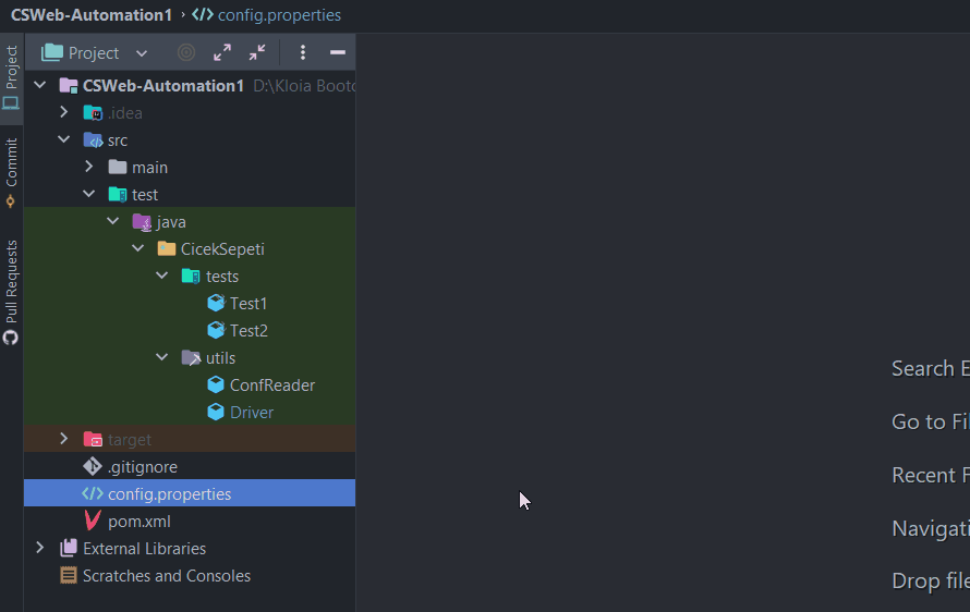 GitHub - tayfundereli/CS-Otomasyon1