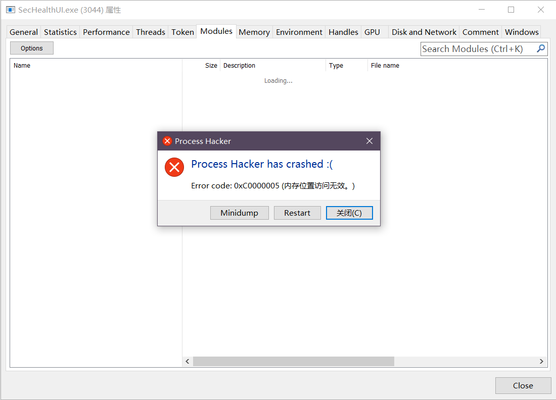 Process Hacker crashed when switch to 