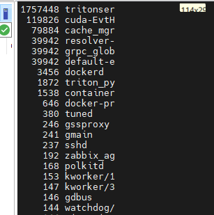 TCP port was full and the triton server could not accept any request ...