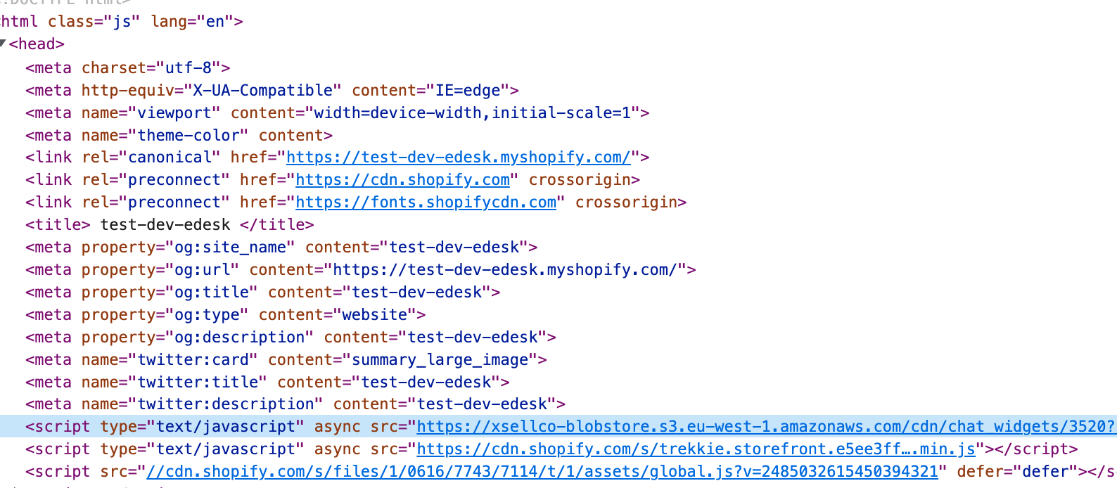 Script Tags doesn't work as expected · Issue #1421 · Shopify/shopify ...