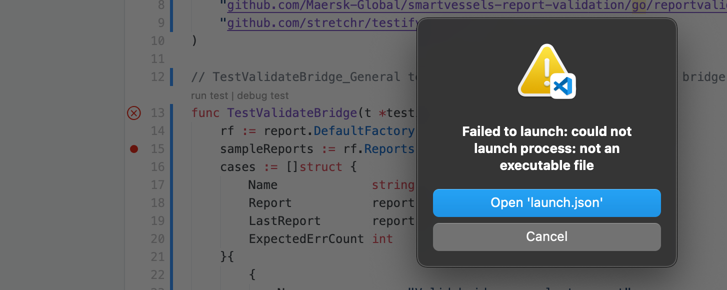 Debug test function fails with "not an executable file" · Issue #2111 ...