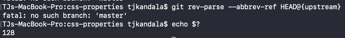 Screen Shot 2021-02-16 at 11 09 16 AM