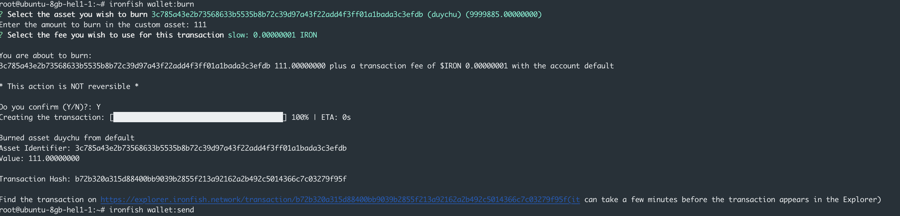 [Find the transaction] error while burning asset · Issue 3482 · iron