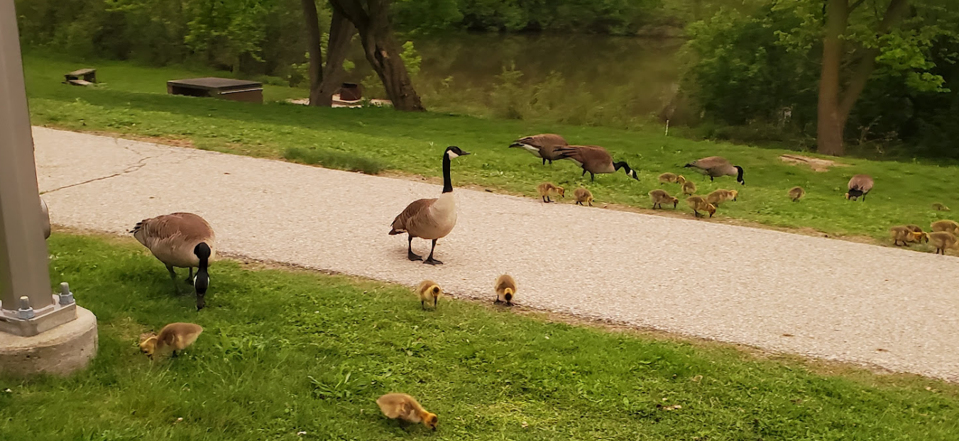 Github Some Molasses Goose A Very Basic Very Lightweight Framework