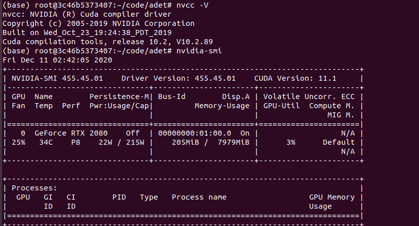 Problem under docker images with GPU · Issue #253 · aim-uofa/AdelaiDet ...