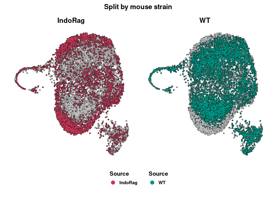 weird UMAP overlapping · Issue #7197 · satijalab/seurat · GitHub