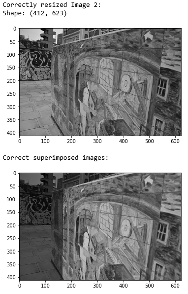 Correct scale resized image2