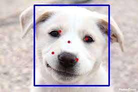 face_13