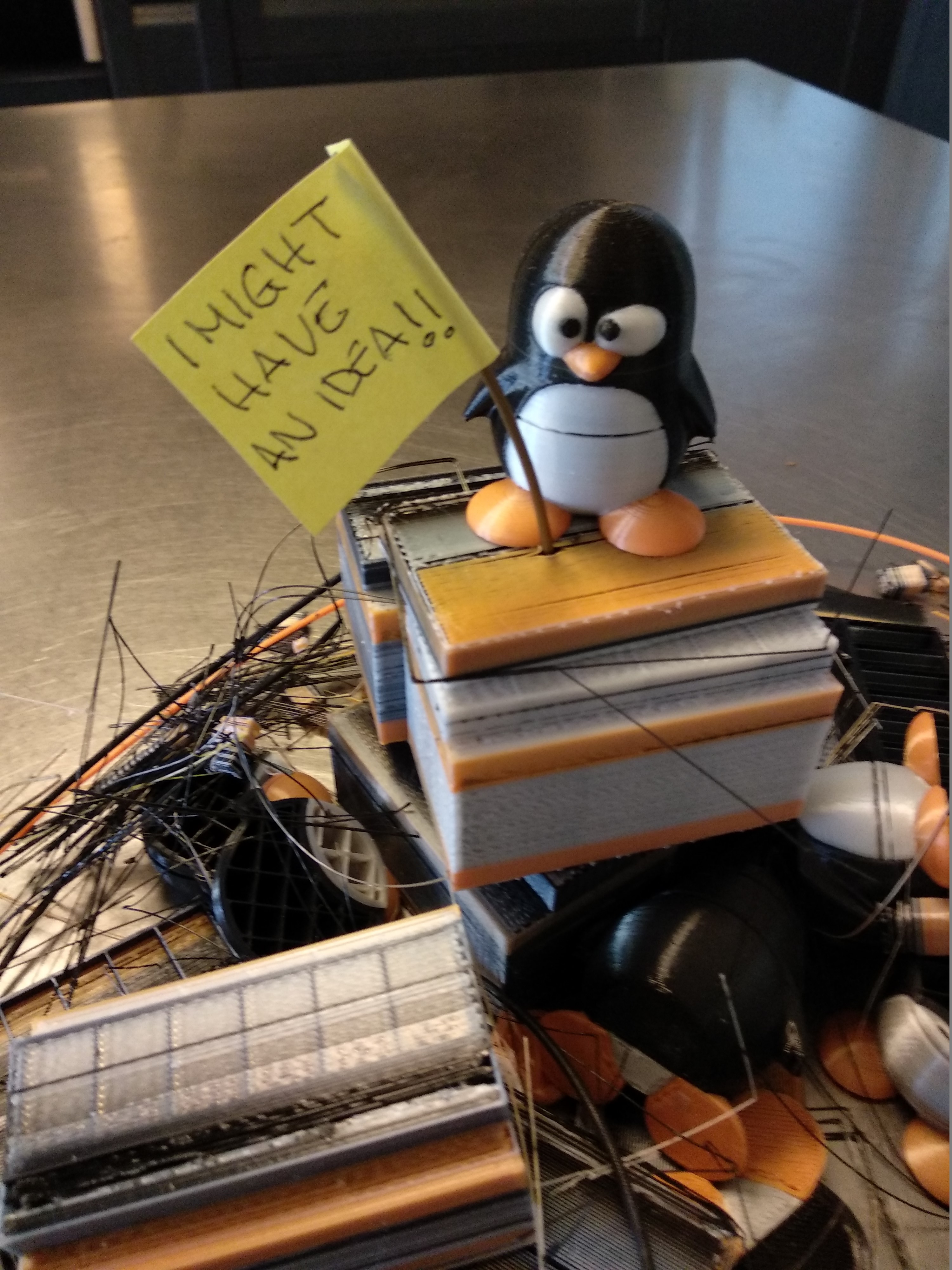 foto pinguino