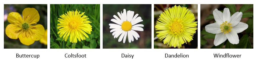 GitHub - yollafrdl/Flower_Classification: The final project of Digital ...