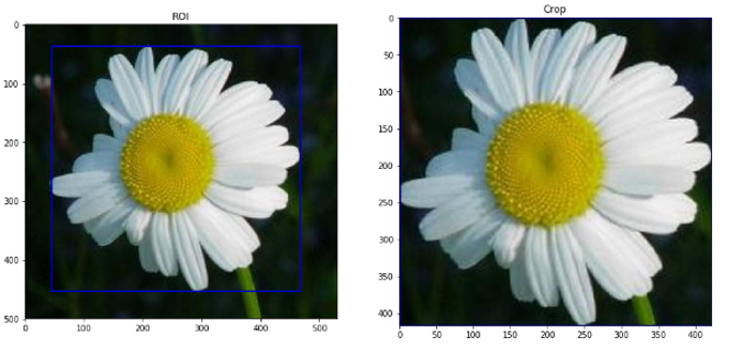 GitHub - yollafrdl/Flower_Classification: The final project of Digital ...