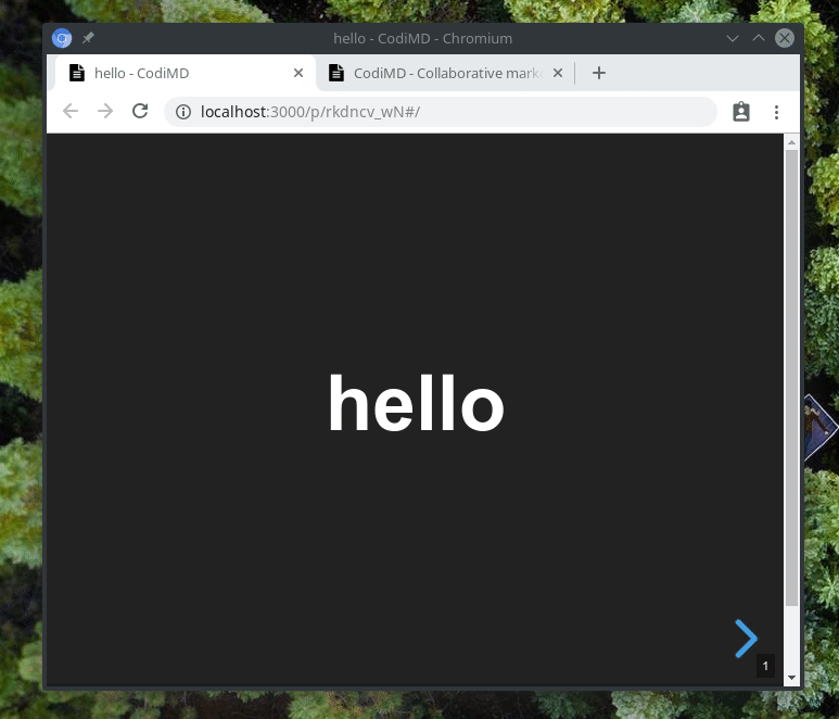 Peek 2019-04-05 15-15