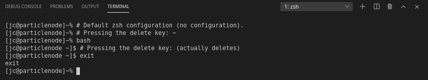 Pressing the delete key inserts a tilde instead of
