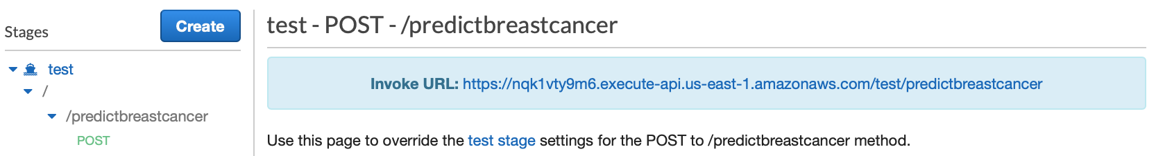GitHub - stevedepp/BreastCancerDetectionViaSageMakerLambda: tgif ...