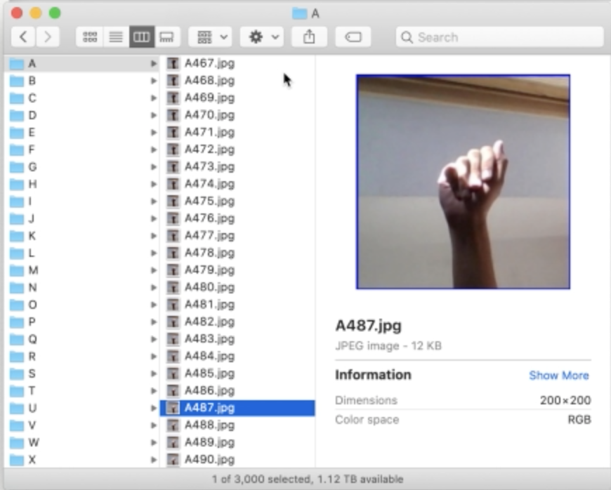 GitHub - stevedepp/AutoML4ASLclassification: tgif project: a day using ...