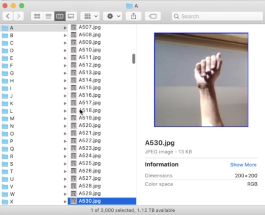 GitHub - stevedepp/AutoML4ASLclassification: tgif project: a day using ...