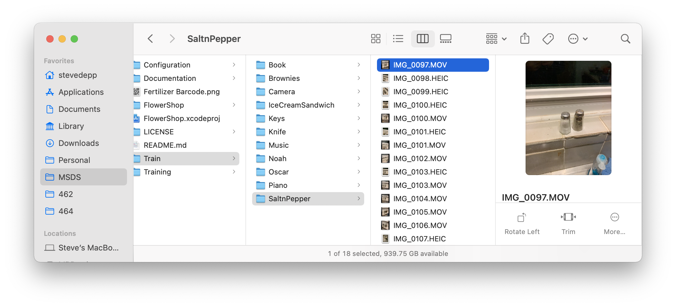 GitHub - stevedepp/CoreMLiPhoneApp: tgif project: a day to develop my ...