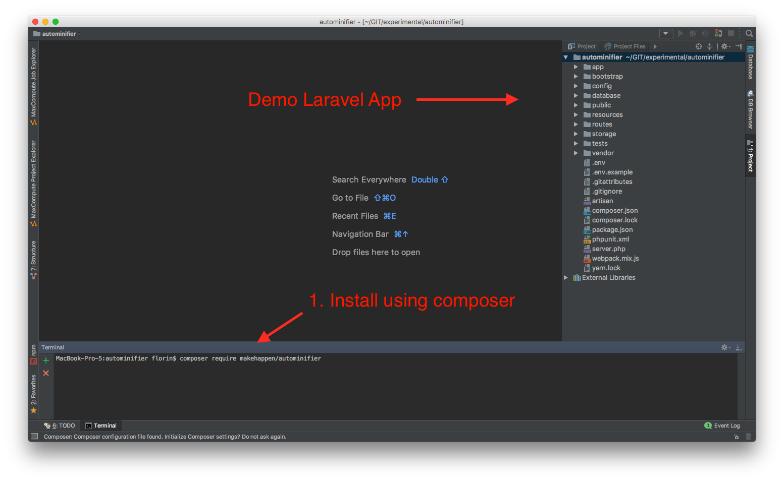 Autominifier implementation example in a Laravel project