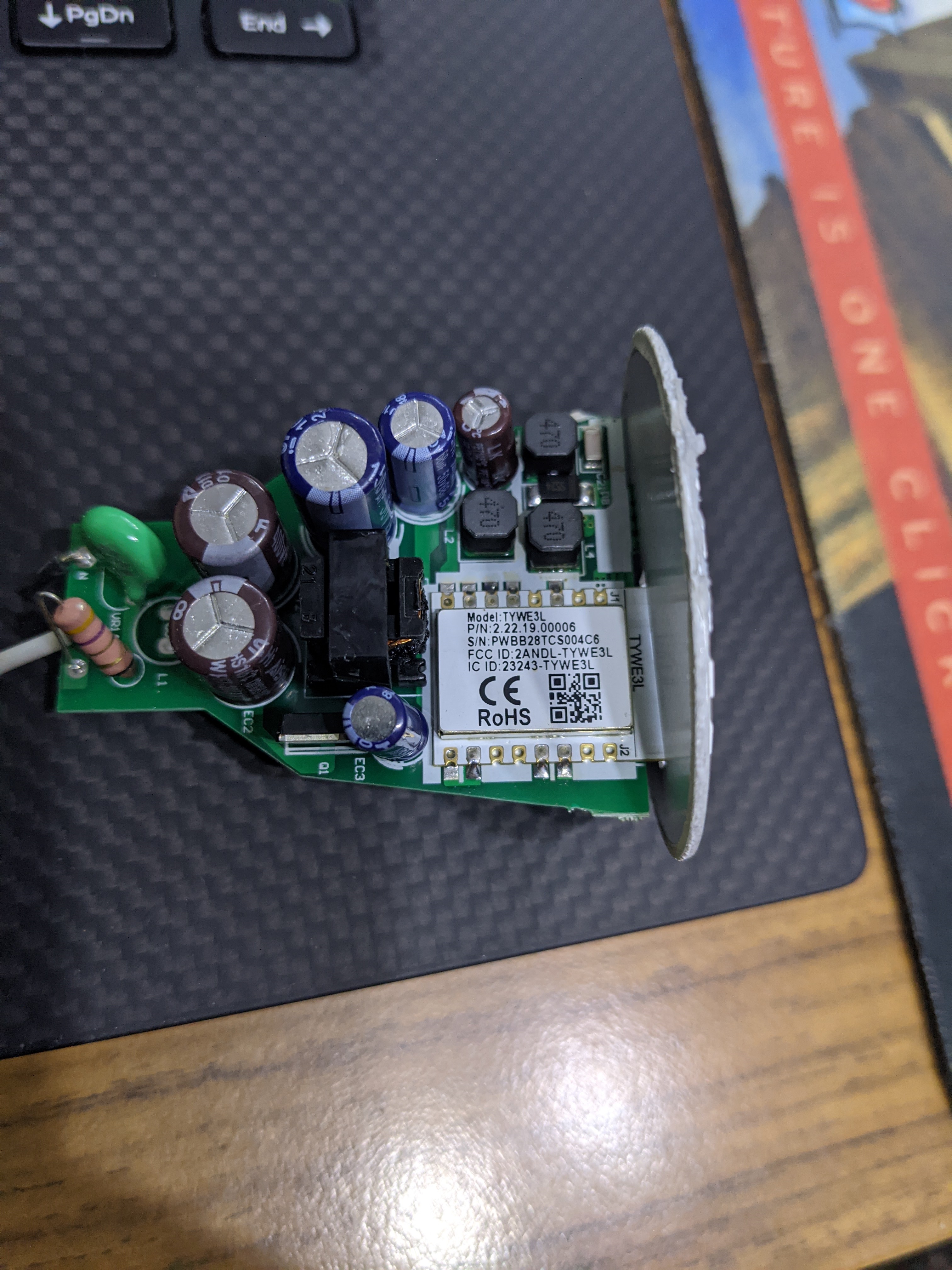 PXL_20200819_050317556