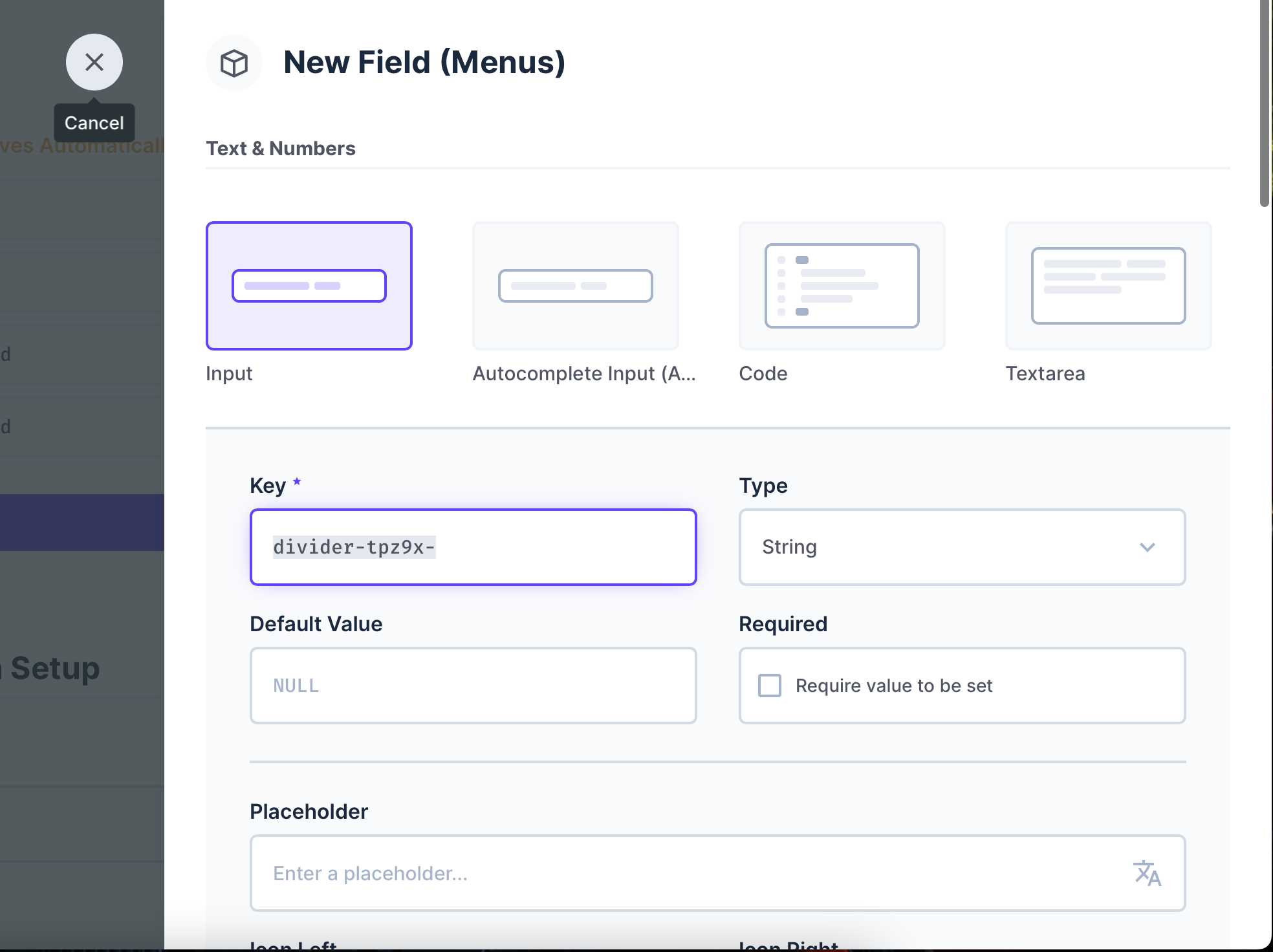Minor bug in new field creation · Issue #13093 · directus/directus · GitHub