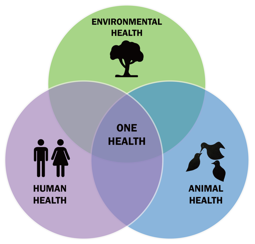 1024px-One-Health-Triad-en
