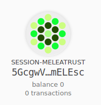 when see Polkadot UI and Telemetrics the accounts in the last digits do ...