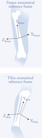 [Suggestion] visualize body's axis in body's COM location · Issue #1441 ...