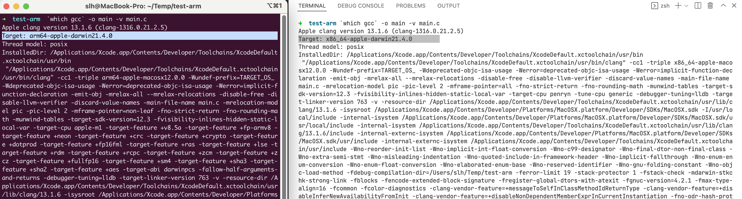 auto detected target architecture · Issue #150761 · microsoft/vscode ...