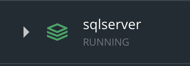 salserver