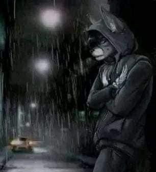 meirl