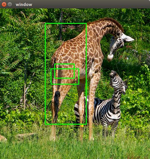 girrafe