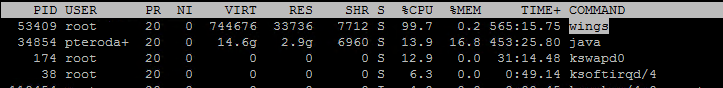 Regular consistent CPU utilisation spikes by Wings process · Issue ...
