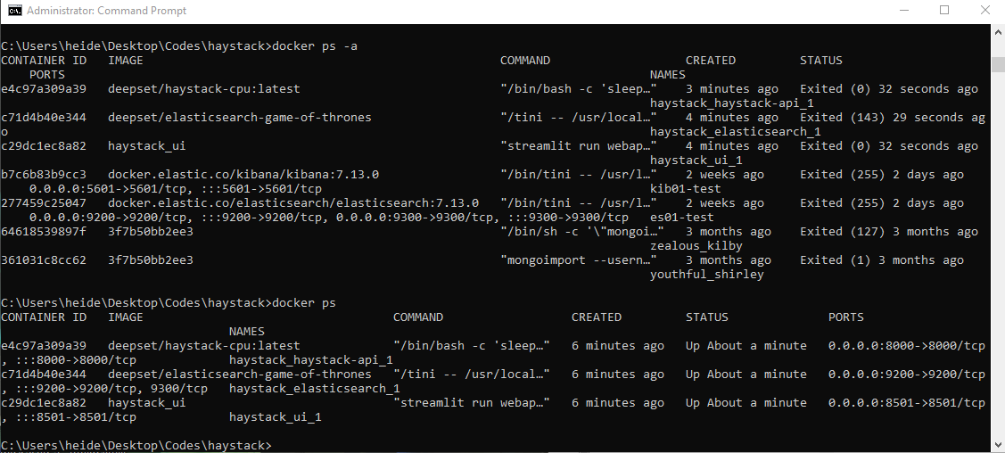 Haystack api Worker with pid 101 was terminated due to signal 4