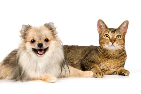 fotolia_8527249_xs