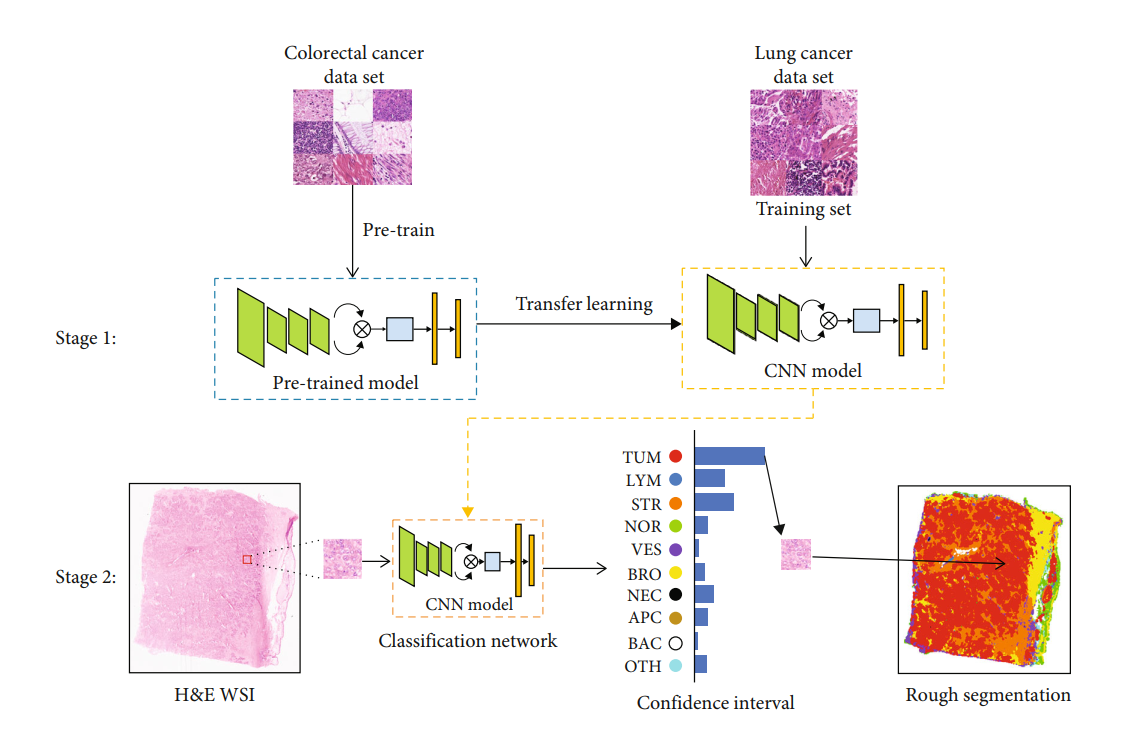 GitHub - Zhizhenwang2021/bcnn_attention_lung: Histopathological Image ...