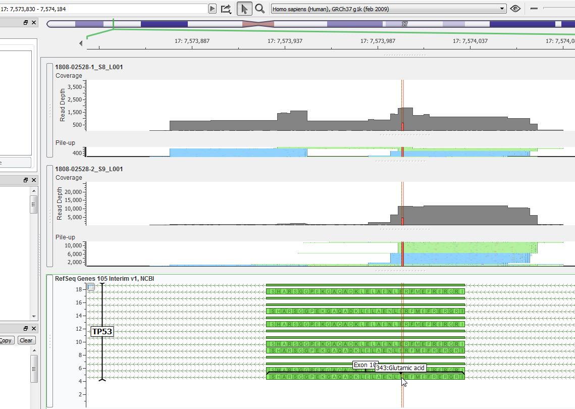 2018-10-04 12_15_06-_project - golden helix genomebrowse 3 0 0