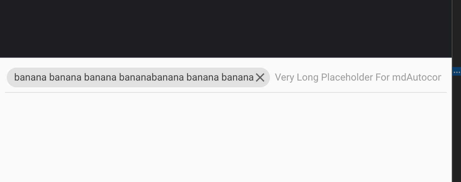 chips placeholder is truncated even though there is room for it in the