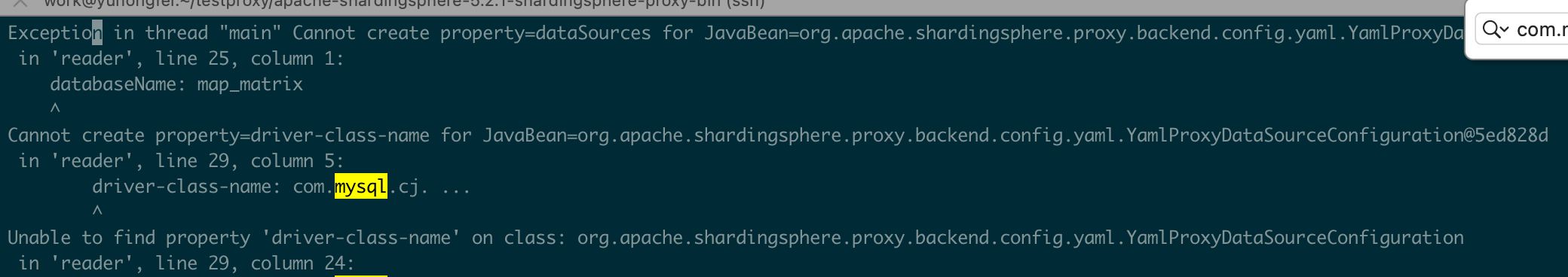 use mysql8 err · Issue #21935 · apache/shardingsphere · GitHub
