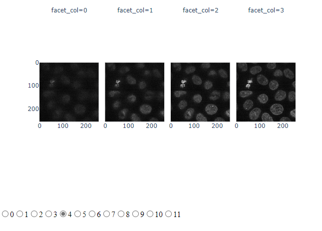 working_example02