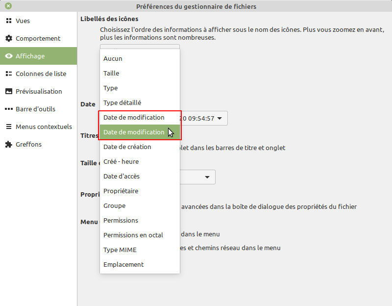 The modification date appears twice in Nemo parameters · Issue #2544 ...