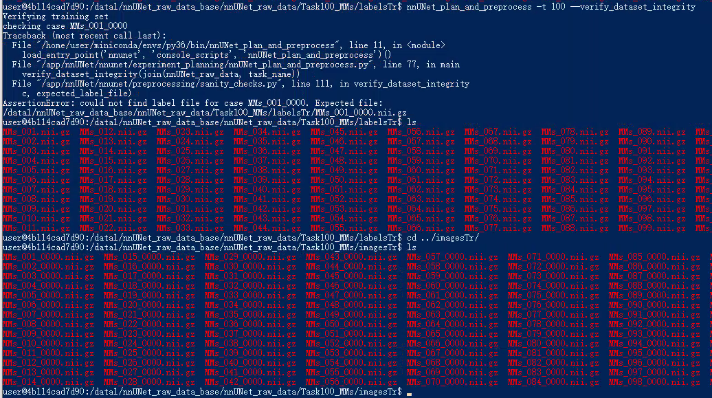 AssertionError: could not find label file for case MMs_001_0000 ...