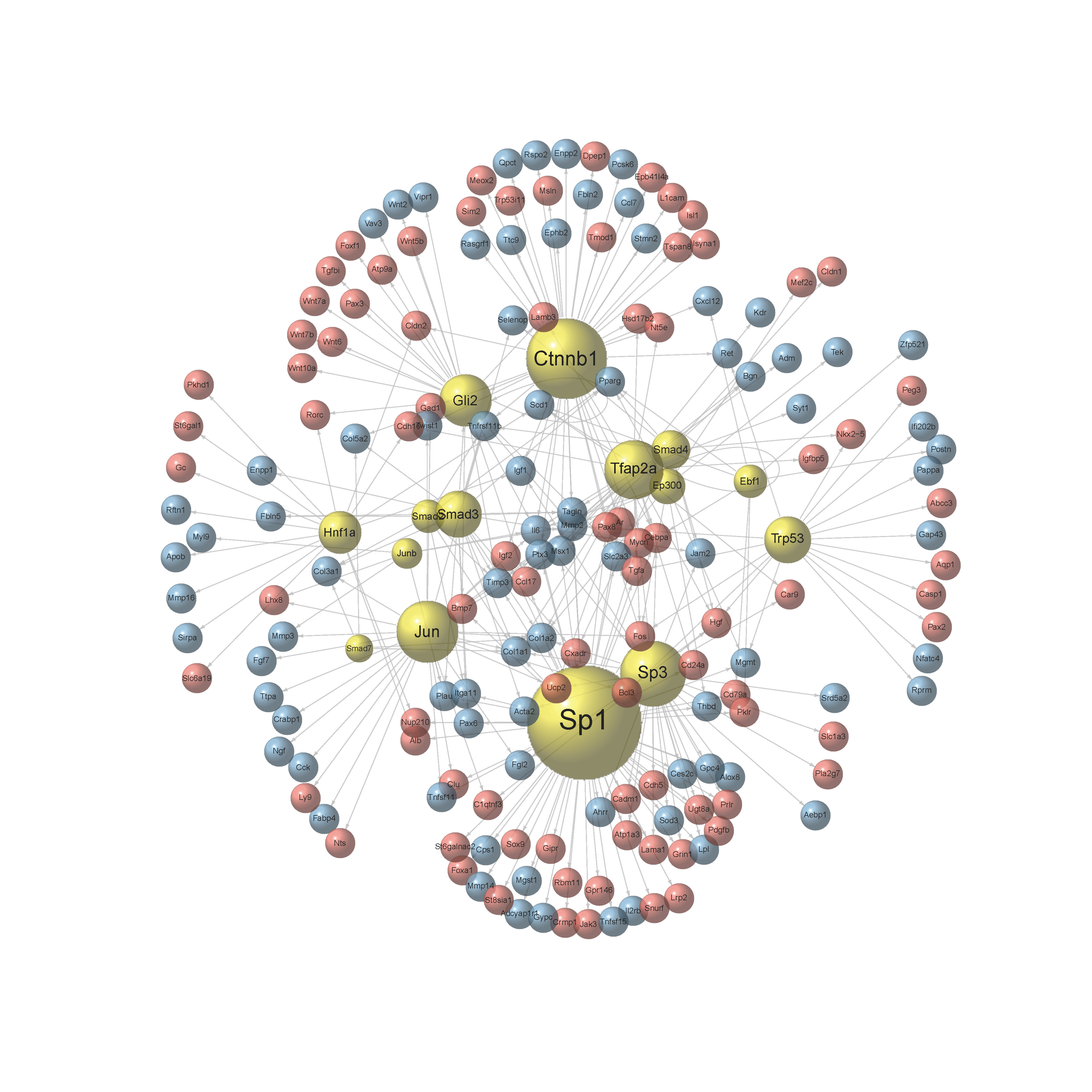 GitHub - PhiliJ/TFnetwork: TFnetwork: R package for DE-analysis, TF ...
