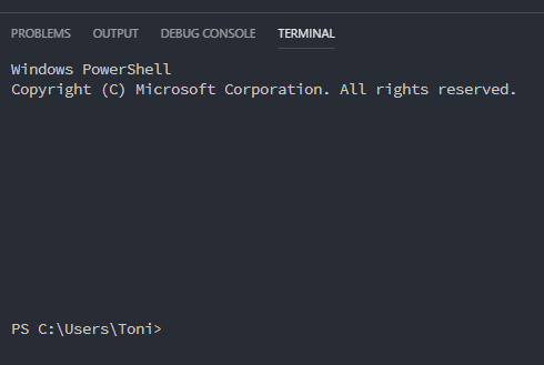 Integrated terminal doesn't show the path when it starts · Issue #60580 ...