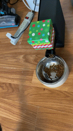 GitHub - Chris970715/Automatic-Pet-Feeder