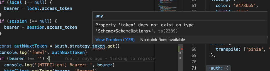 Missing typing of $auth.strategy.token.get() · Issue #1152 · nuxt ...