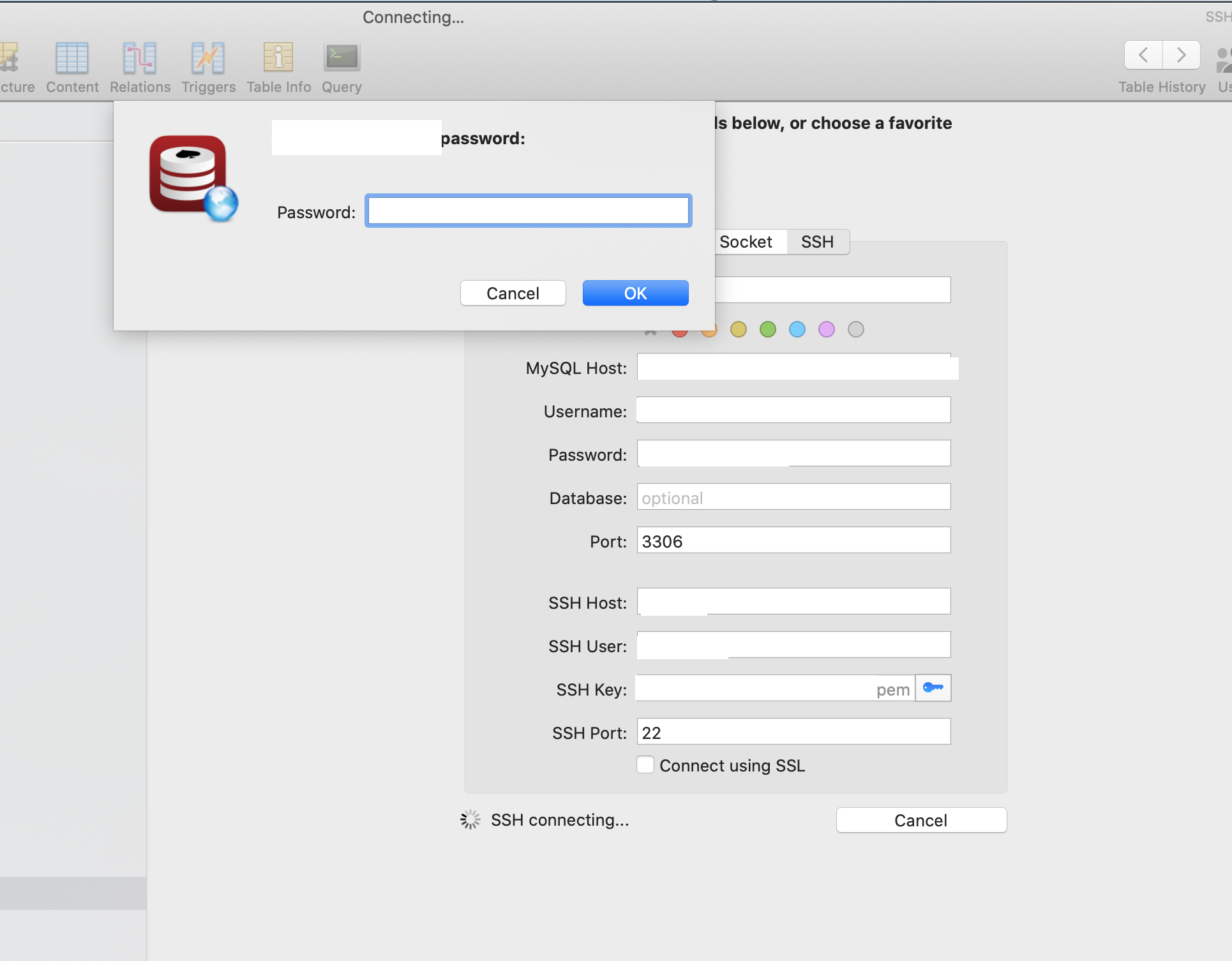demo_password_prompt