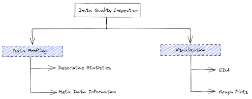 Data Quality Inspection